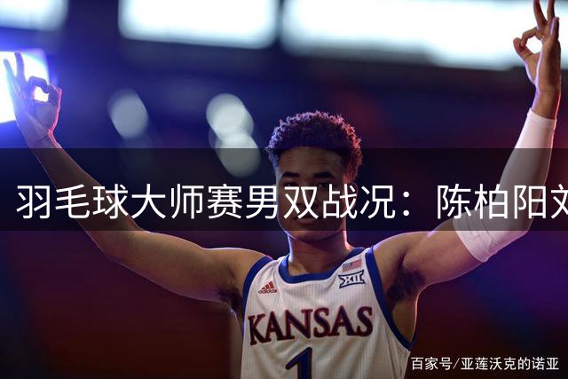 羽毛球大师赛男双战况：陈柏阳/刘毅止步十六强